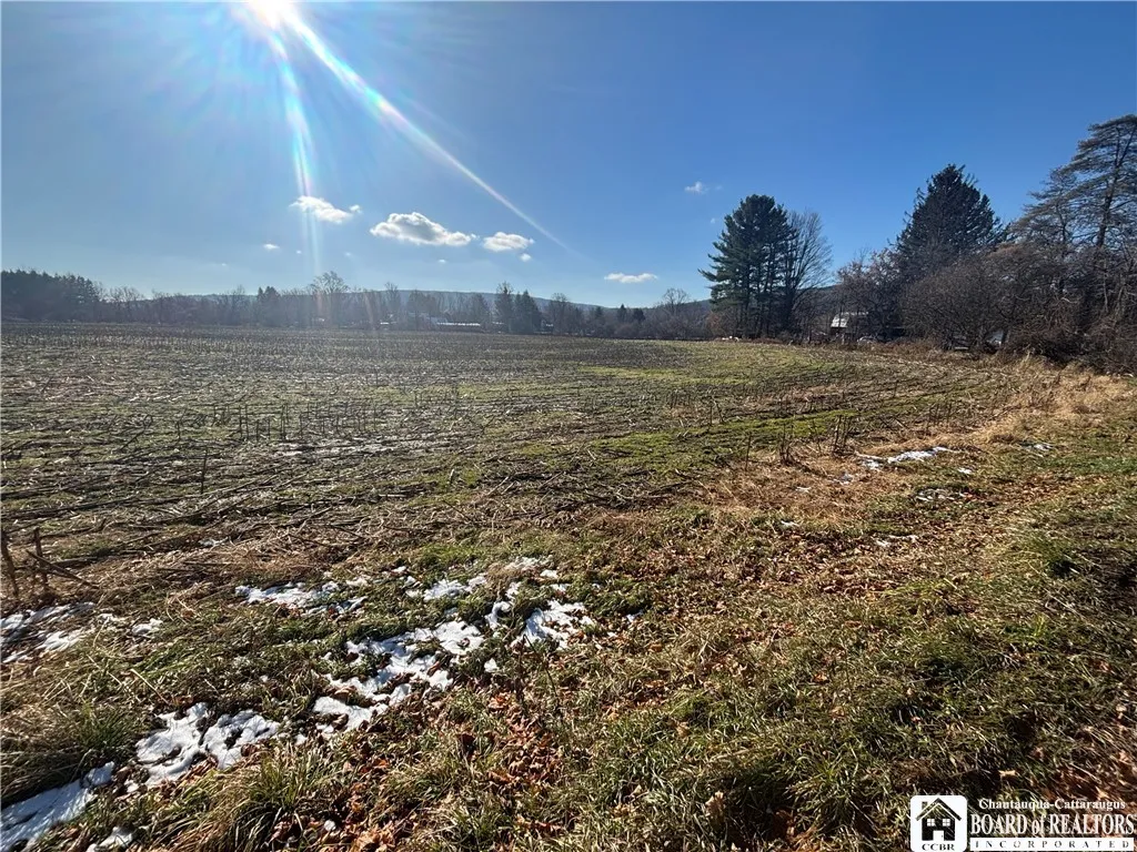 Scio Road, Amity, New York 14813, Amity, New York 14813, ,Land,For Sale,Scio Road, Amity, New York 14813,0,R1651879