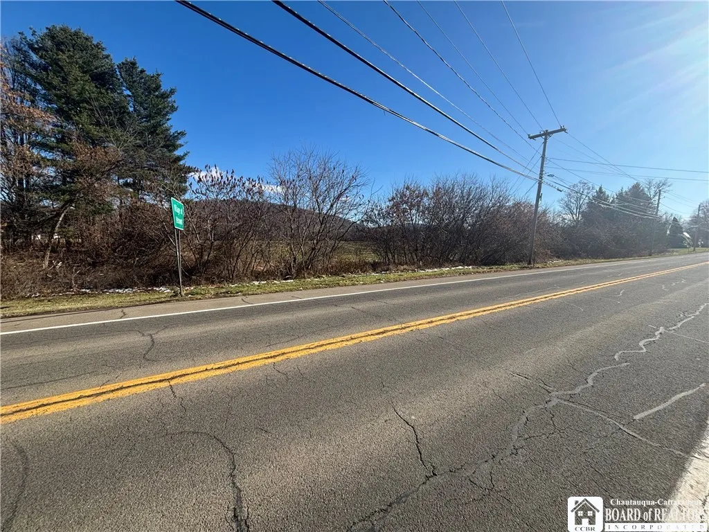 Scio Road, Amity, New York 14813, Amity, New York 14813, ,Land,For Sale,Scio Road, Amity, New York 14813,0,R1651879