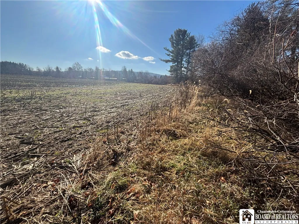 Scio Road, Amity, New York 14813, Amity, New York 14813, ,Land,For Sale,Scio Road, Amity, New York 14813,0,R1651879