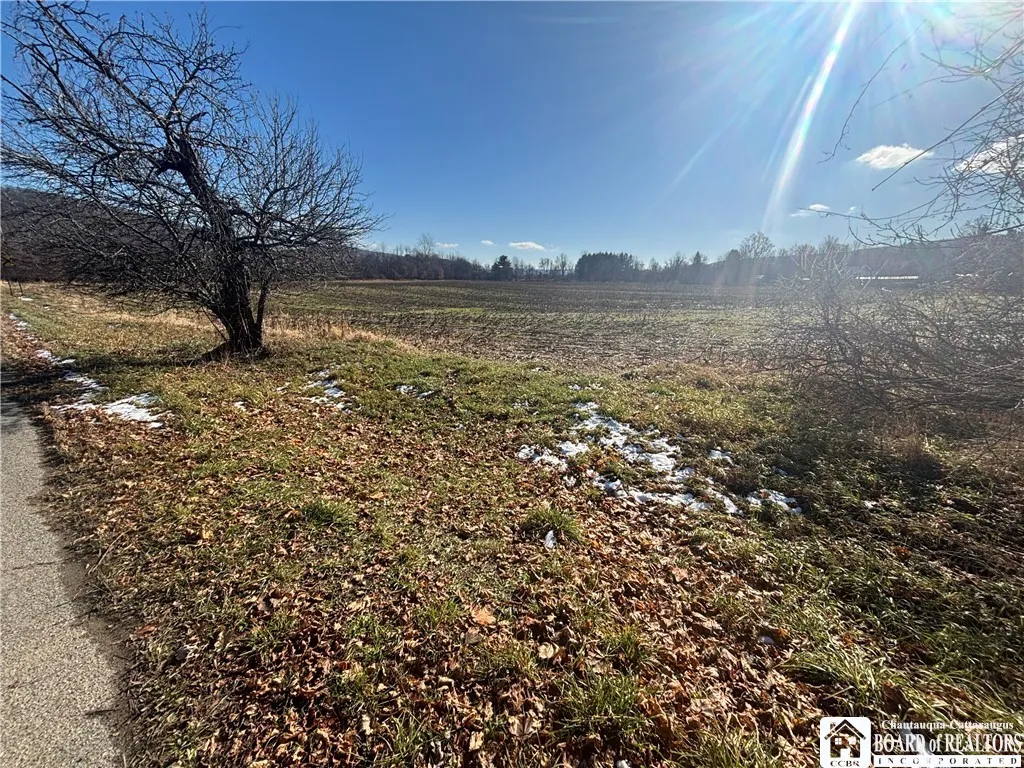 Scio Road, Amity, New York 14813, Amity, New York 14813, ,Land,For Sale,Scio Road, Amity, New York 14813,0,R1651879