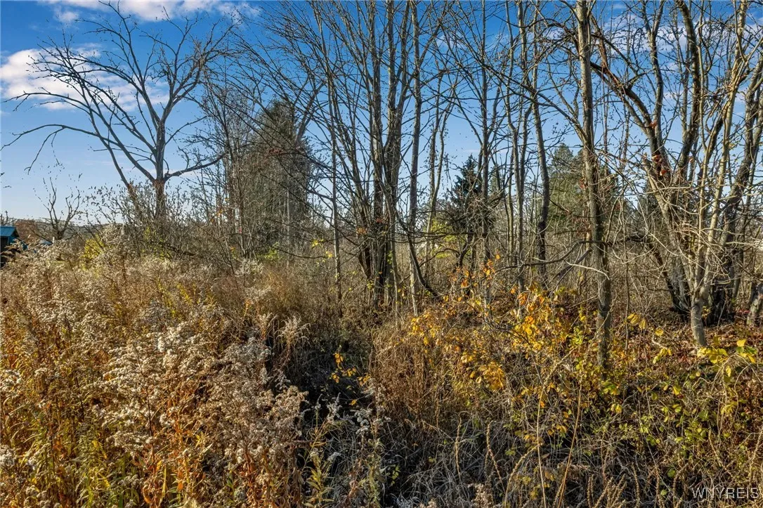 7083 Boston State Road, Boston, New York 14075, Boston, New York 14075, 2 Bedrooms Bedrooms, 6 Rooms Rooms,1 BathroomBathrooms,Residential,For Sale,7083 Boston State Road, Boston, New York 14075,0,B1651874