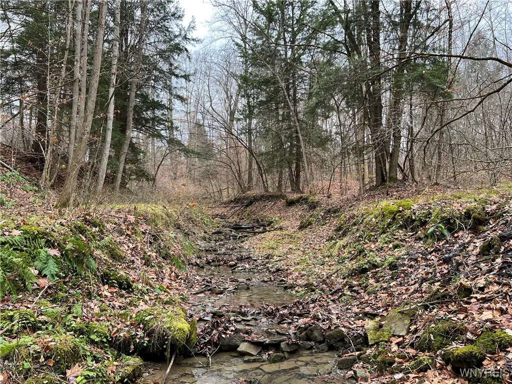 Feathers Creek Road, Amity, New York 14813, Amity, New York 14813, ,Land,For Sale,Feathers Creek Road, Amity, New York 14813,0,B1651106
