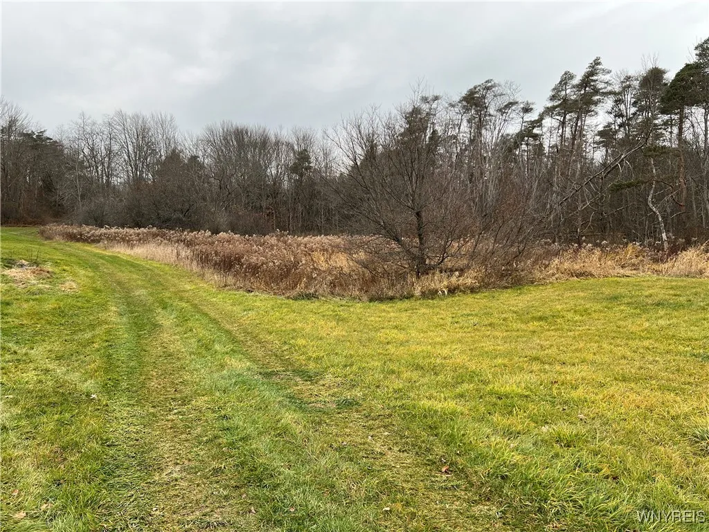Feathers Creek Road, Amity, New York 14813, Amity, New York 14813, ,Land,For Sale,Feathers Creek Road, Amity, New York 14813,0,B1651106