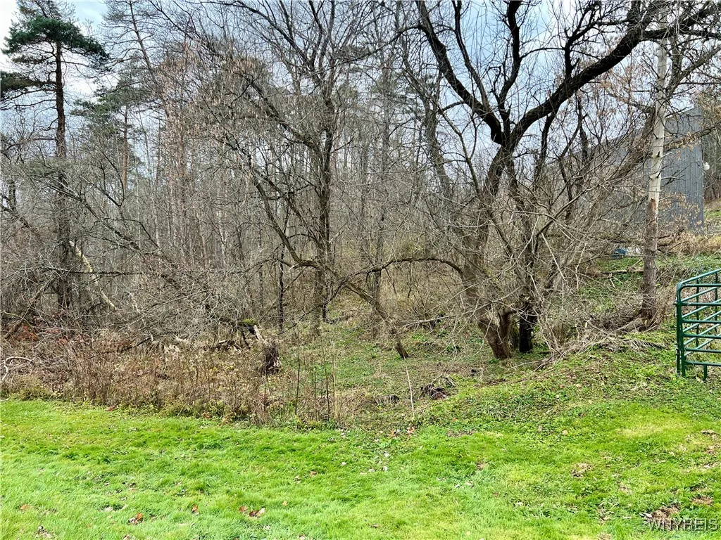 North eastern corner of the property