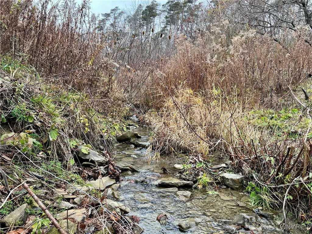 Feathers Creek Road, Amity, New York 14813, Amity, New York 14813, ,Land,For Sale,Feathers Creek Road, Amity, New York 14813,0,B1651106