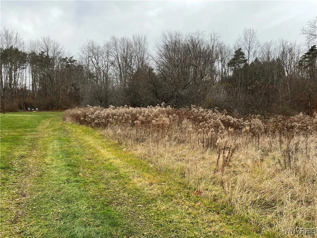 Shared grass/dirt driveway but owner of adjacent property has a second driveway