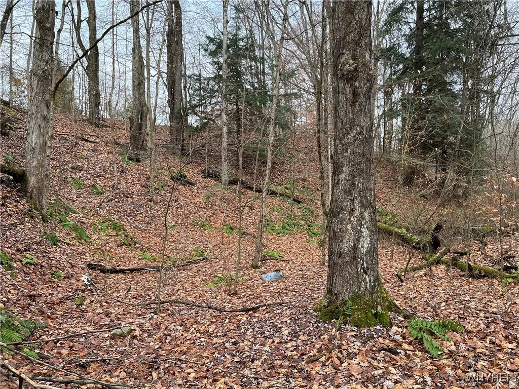 Feathers Creek Road, Amity, New York 14813, Amity, New York 14813, ,Land,For Sale,Feathers Creek Road, Amity, New York 14813,0,B1651106