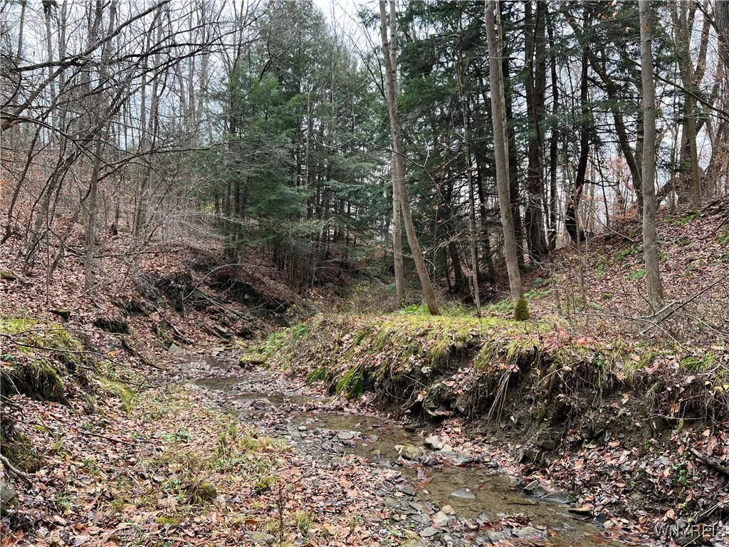 Feathers Creek Road, Amity, New York 14813, Amity, New York 14813, ,Land,For Sale,Feathers Creek Road, Amity, New York 14813,0,B1651106