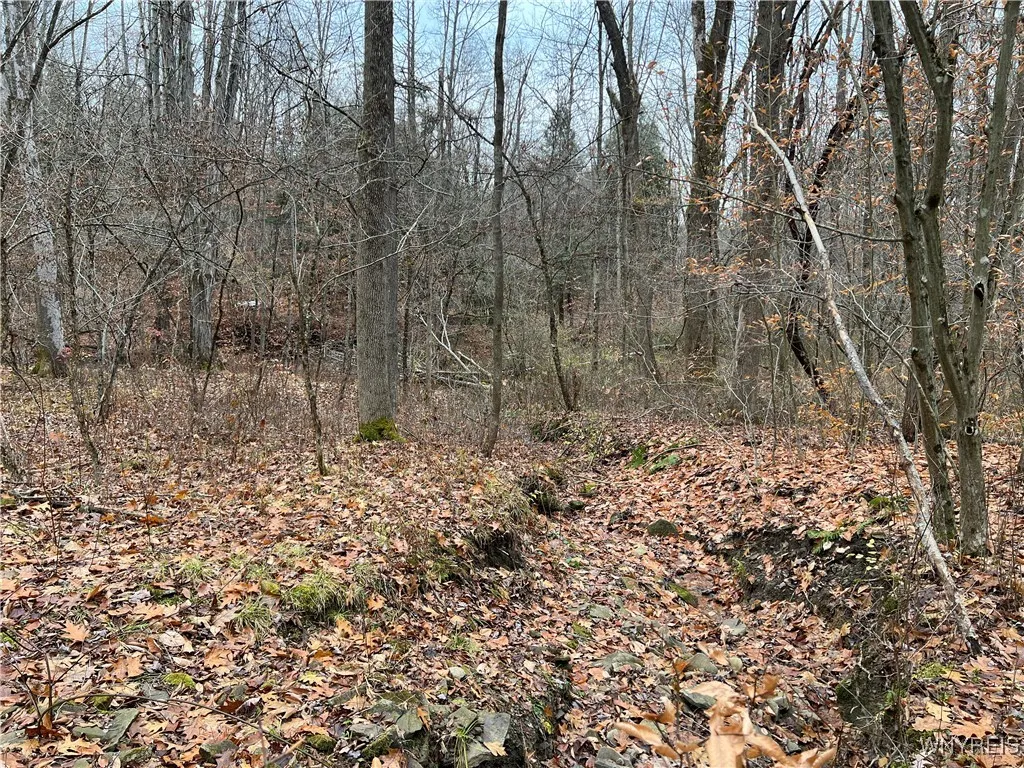 Feathers Creek Road, Amity, New York 14813, Amity, New York 14813, ,Land,For Sale,Feathers Creek Road, Amity, New York 14813,0,B1651106
