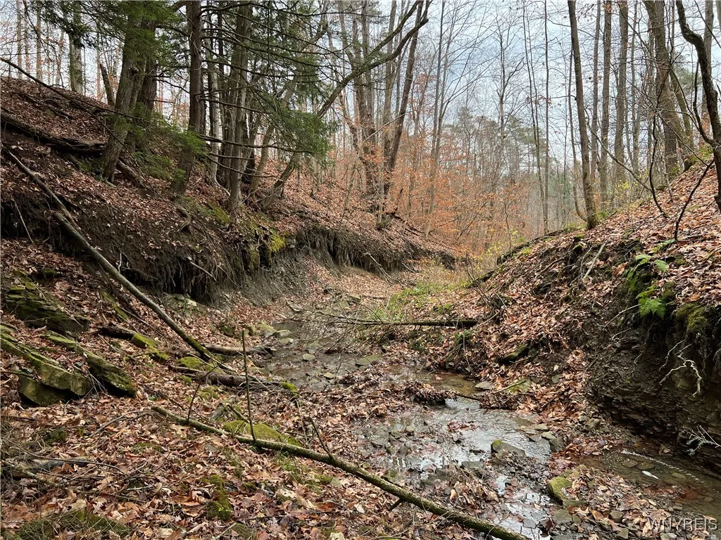 Feathers Creek Road, Amity, New York 14813, Amity, New York 14813, ,Land,For Sale,Feathers Creek Road, Amity, New York 14813,0,B1651106