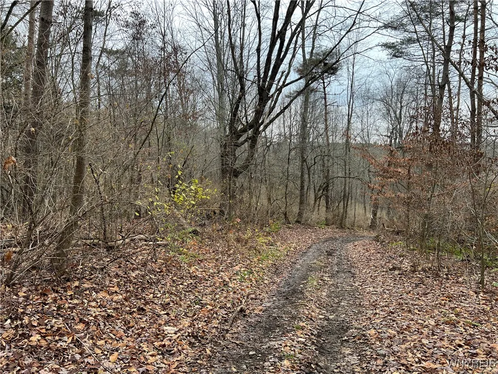 Feathers Creek Road, Amity, New York 14813, Amity, New York 14813, ,Land,For Sale,Feathers Creek Road, Amity, New York 14813,0,B1651106
