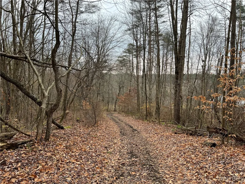 Feathers Creek Road, Amity, New York 14813, Amity, New York 14813, ,Land,For Sale,Feathers Creek Road, Amity, New York 14813,0,B1651106