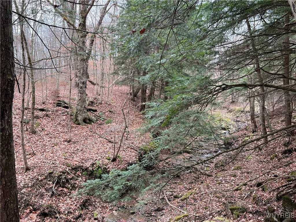 Feathers Creek Road, Amity, New York 14813, Amity, New York 14813, ,Land,For Sale,Feathers Creek Road, Amity, New York 14813,0,B1651106