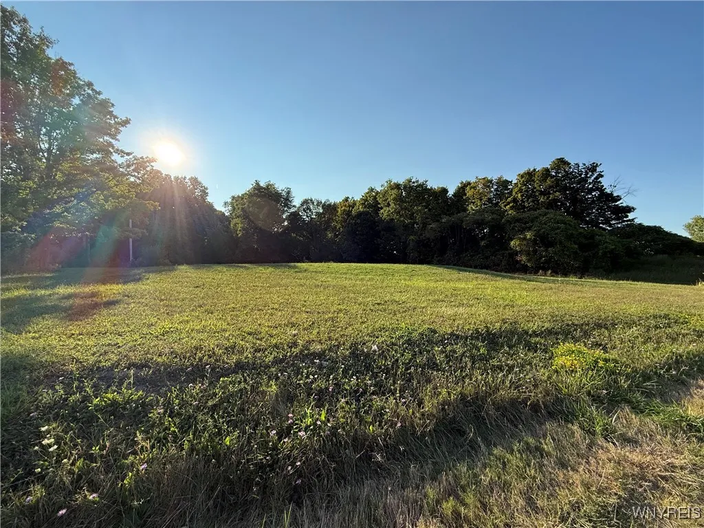 6920 Transit Road, Elba, New York 14058, Elba, New York 14058, ,Land,For Sale,6920 Transit Road, Elba, New York 14058,0,B1651931