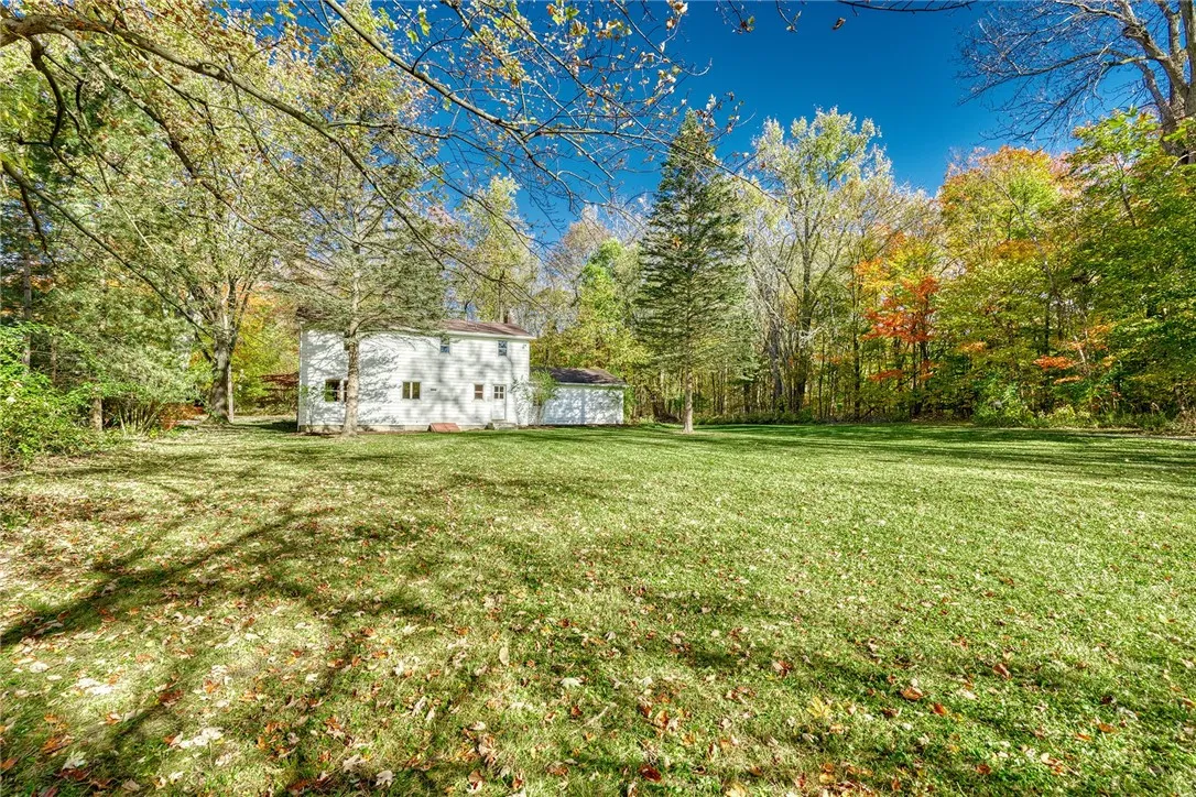 view from the back of the yard