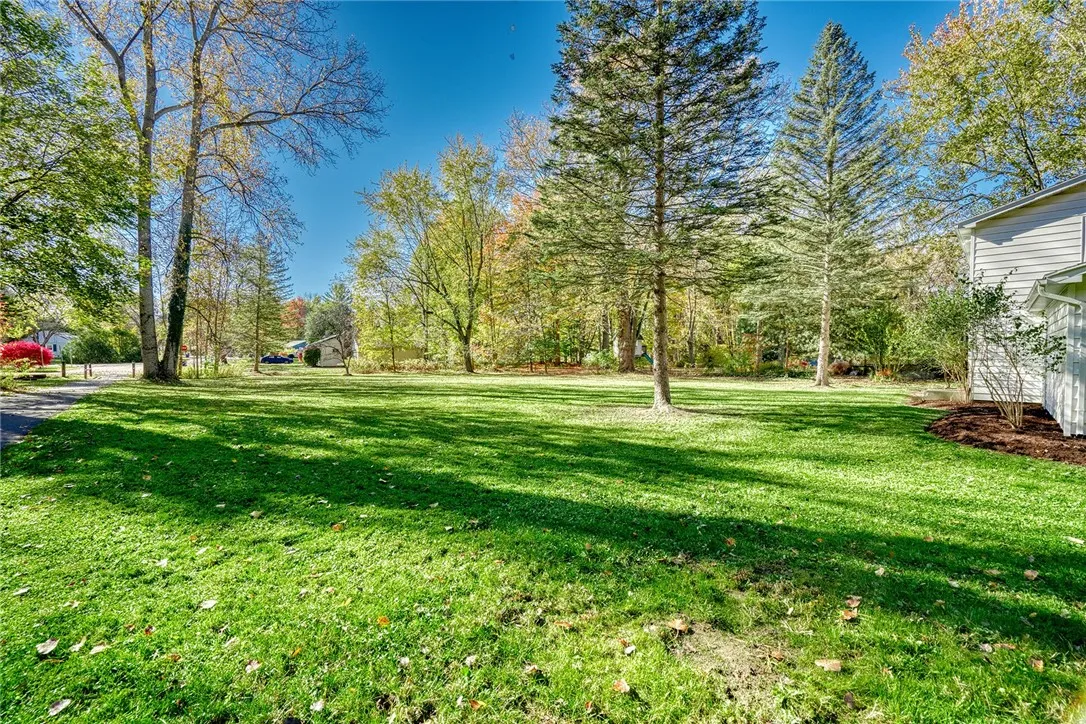 view looking to the back of the yard