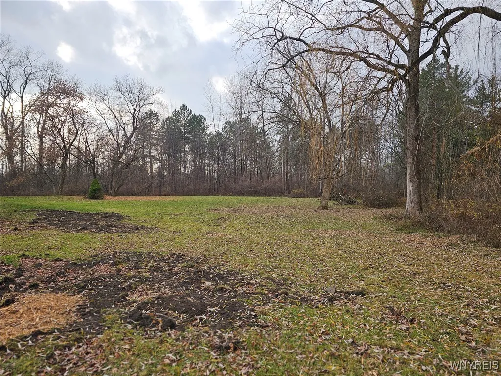 2160 Sandridge Road, Alden, New York 14004, Alden, New York 14004, ,Land,For Sale,2160 Sandridge Road, Alden, New York 14004,0,B1652155