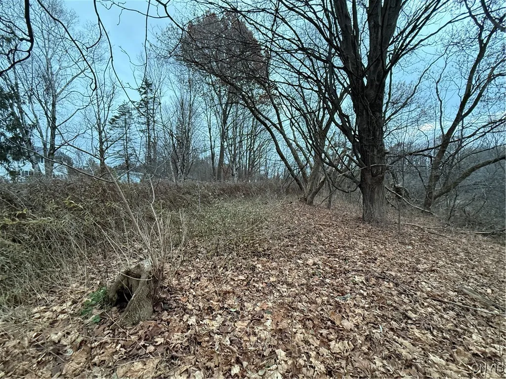 0 Harwood Drive, Sandy Creek, New York 13083, Sandy Creek, New York 13083, ,Land,For Sale,0 Harwood Drive, Sandy Creek, New York 13083,0,S1652178