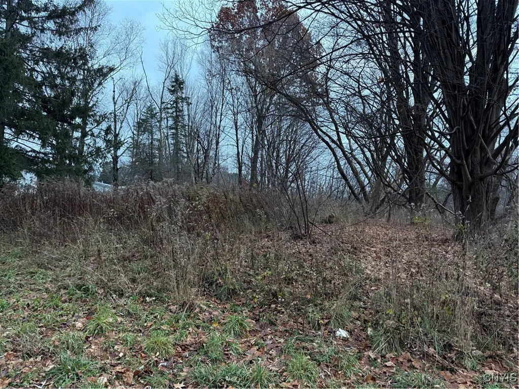 0 Harwood Drive, Sandy Creek, New York 13083, Sandy Creek, New York 13083, ,Land,For Sale,0 Harwood Drive, Sandy Creek, New York 13083,0,S1652178