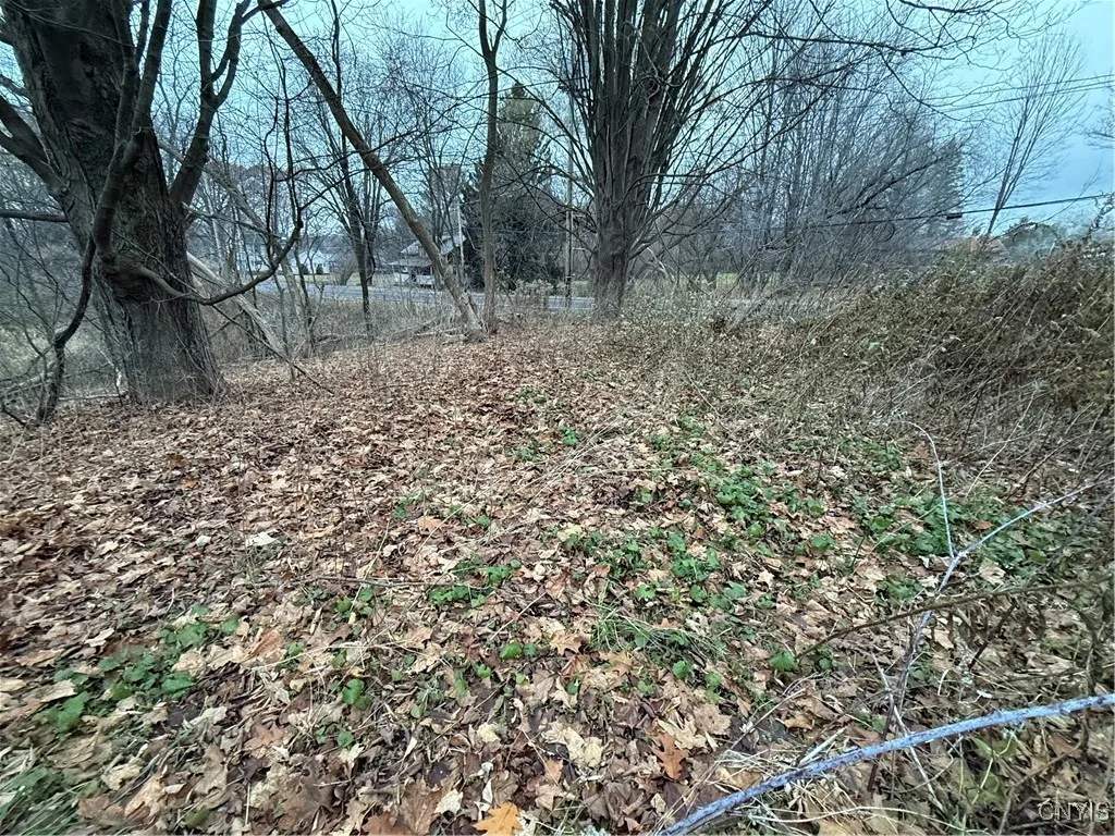 0 Harwood Drive, Sandy Creek, New York 13083, Sandy Creek, New York 13083, ,Land,For Sale,0 Harwood Drive, Sandy Creek, New York 13083,0,S1652178