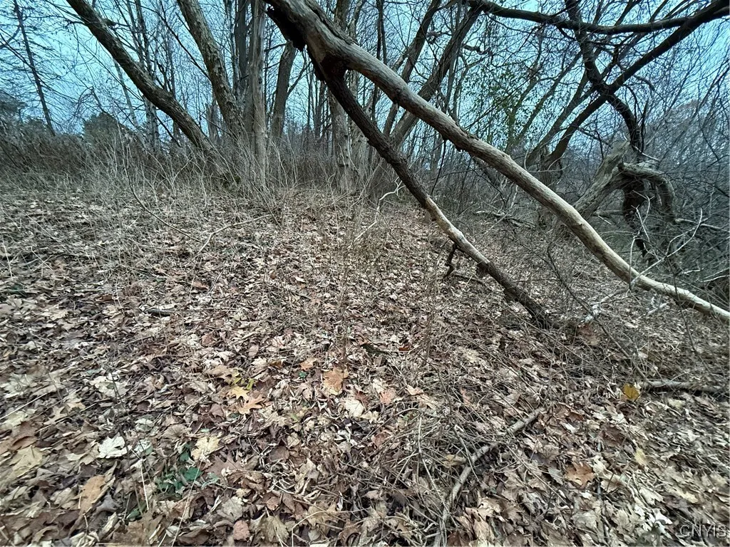 0 Harwood Drive, Sandy Creek, New York 13083, Sandy Creek, New York 13083, ,Land,For Sale,0 Harwood Drive, Sandy Creek, New York 13083,0,S1652178