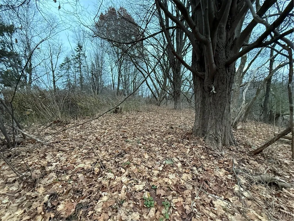 0 Harwood Drive, Sandy Creek, New York 13083, Sandy Creek, New York 13083, ,Land,For Sale,0 Harwood Drive, Sandy Creek, New York 13083,0,S1652178