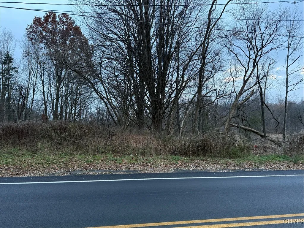 0 Harwood Drive, Sandy Creek, New York 13083, Sandy Creek, New York 13083, ,Land,For Sale,0 Harwood Drive, Sandy Creek, New York 13083,0,S1652178