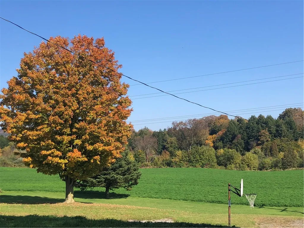 3214 State Route 8, Bridgewater, New York 13313, Bridgewater, New York 13313, 2 Bedrooms Bedrooms, 8 Rooms Rooms,1 BathroomBathrooms,Residential,For Sale,3214 State Route 8, Bridgewater, New York 13313,0,R1651428