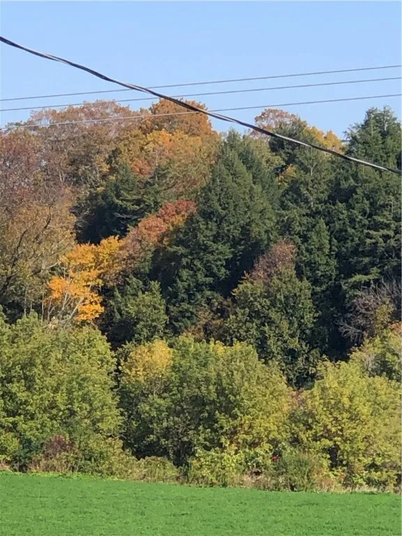 3214 State Route 8, Bridgewater, New York 13313, Bridgewater, New York 13313, 2 Bedrooms Bedrooms, 8 Rooms Rooms,1 BathroomBathrooms,Residential,For Sale,3214 State Route 8, Bridgewater, New York 13313,0,R1651428