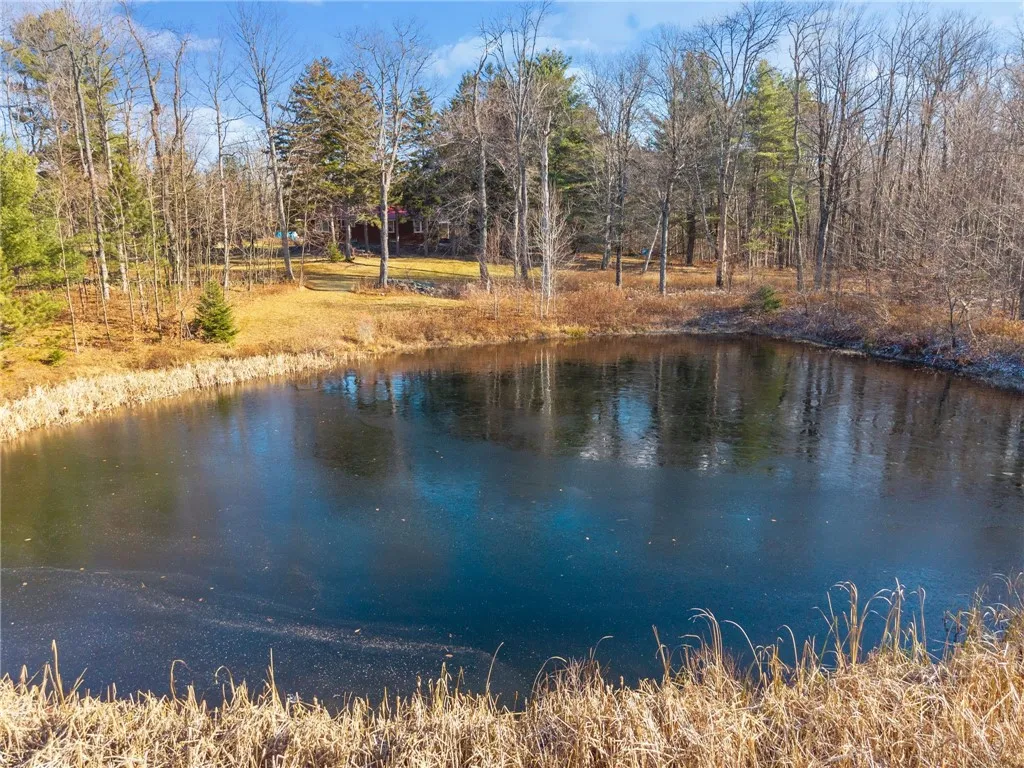 403 Blueberry Hill Road, Broome, New York 12122, Broome, New York 12122, 3 Bedrooms Bedrooms, 13 Rooms Rooms,2 BathroomsBathrooms,Residential,For Sale,403 Blueberry Hill Road, Broome, New York 12122,0,R1652233