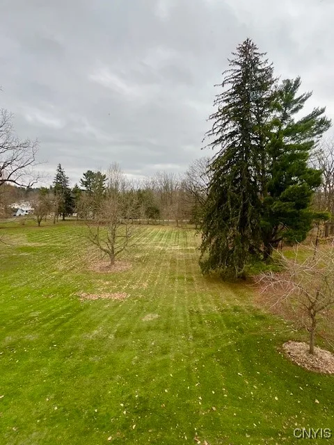 view out living room window to grounds