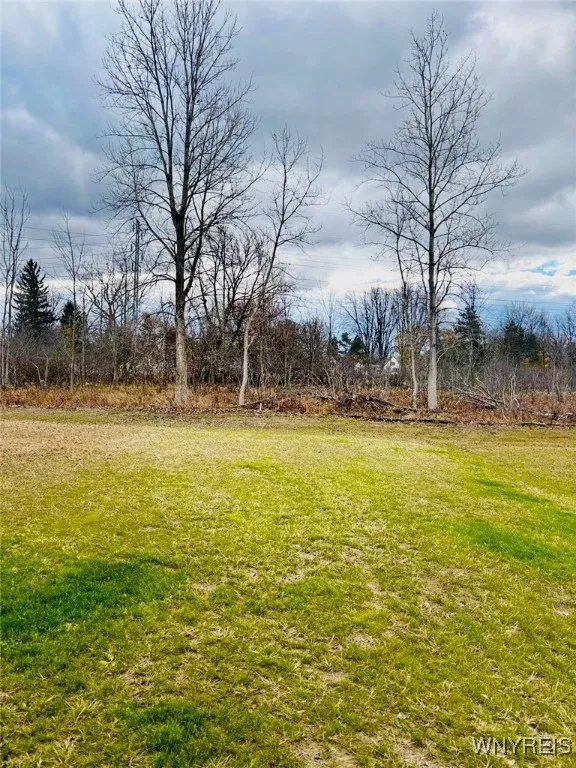 107 Grant Boulevard, West Seneca, New York 14218, West Seneca, New York 14218, 3 Bedrooms Bedrooms, 5 Rooms Rooms,2 BathroomsBathrooms,Residential,For Sale,107 Grant Boulevard, West Seneca, New York 14218,0,B1652676