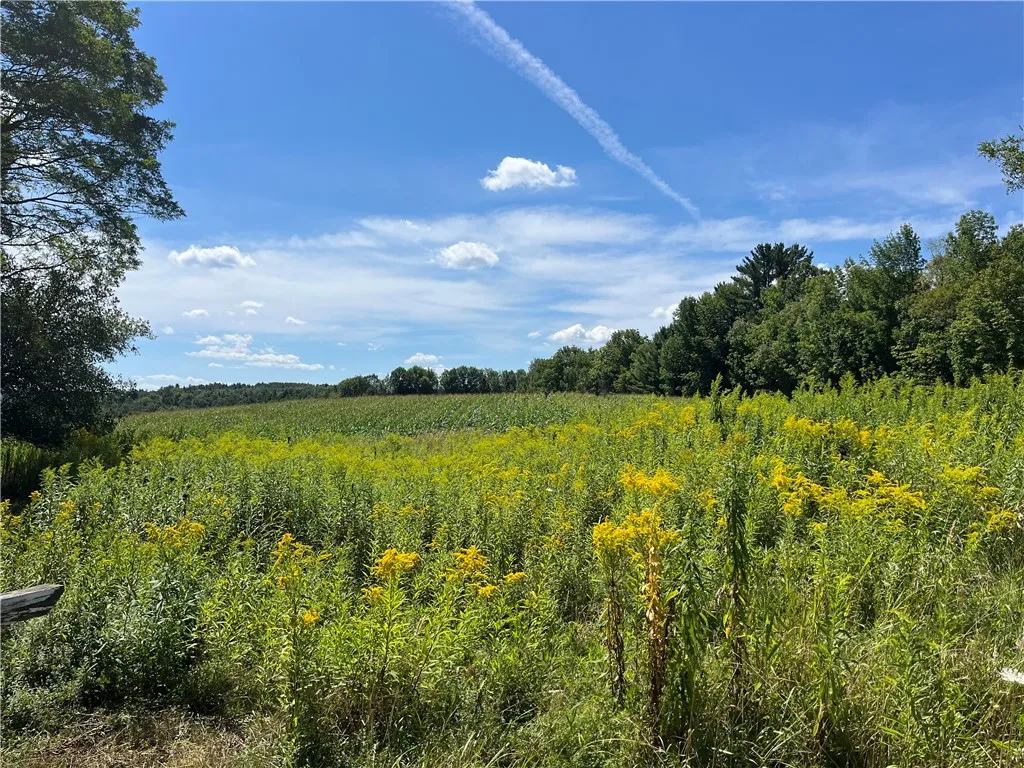 181 Short Crumhorn Road, Maryland, New York 12116, Maryland, New York 12116, ,Land,For Sale,181 Short Crumhorn Road, Maryland, New York 12116,0,R1652580