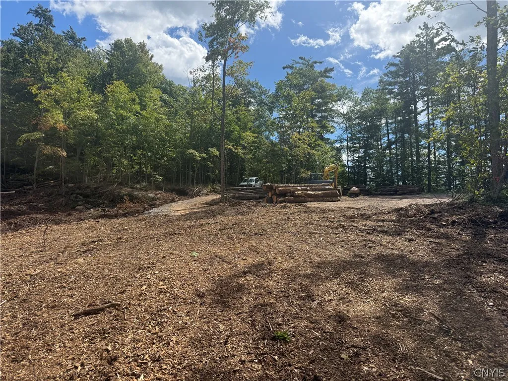 Lot 3 Dewey Point Lane, Diana, New York 13648, Diana, New York 13648, ,Land,For Sale,Lot 3 Dewey Point Lane, Diana, New York 13648,0,S1652985