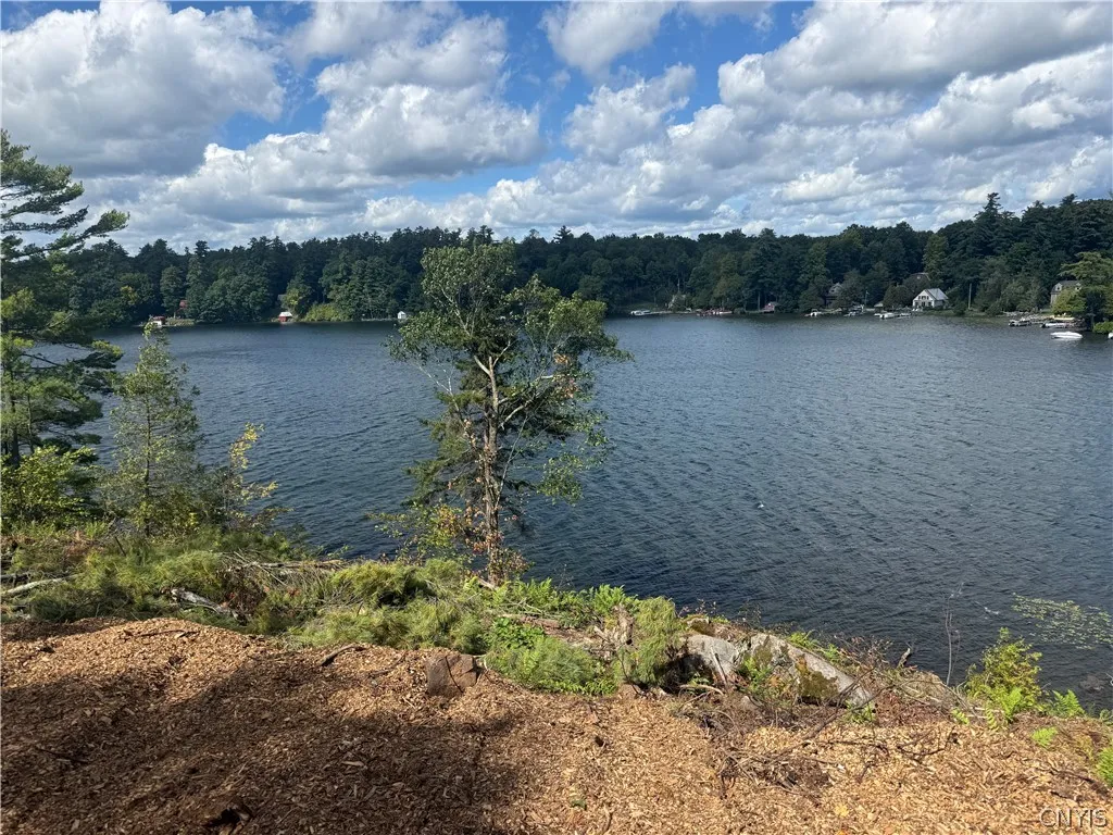 Lot 3 Dewey Point Lane, Diana, New York 13648, Diana, New York 13648, ,Land,For Sale,Lot 3 Dewey Point Lane, Diana, New York 13648,0,S1652985