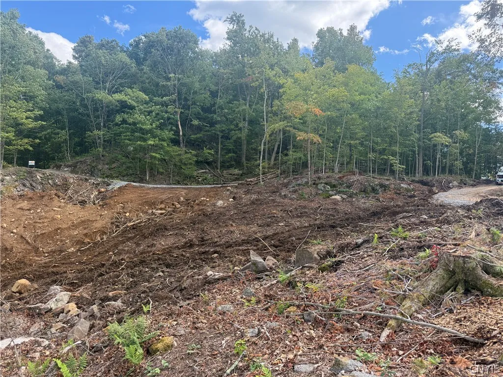 Lot 2 Dewey Point Lane, Diana, New York 13648, Diana, New York 13648, ,Land,For Sale,Lot 2 Dewey Point Lane, Diana, New York 13648,0,S1652989