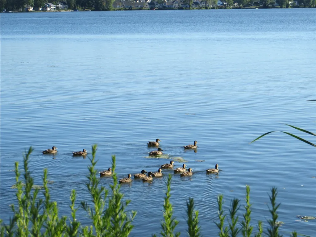 832 Washington Avenue, Irondequoit, New York 14617, Irondequoit, New York 14617, 2 Bedrooms Bedrooms, 5 Rooms Rooms,1 BathroomBathrooms,Residential,Closed,832 Washington Avenue, Irondequoit, New York 14617,0,R1652984