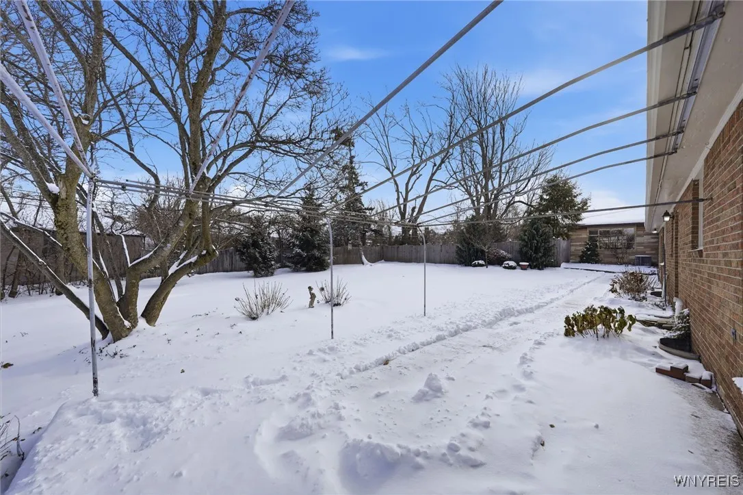 rear yard
