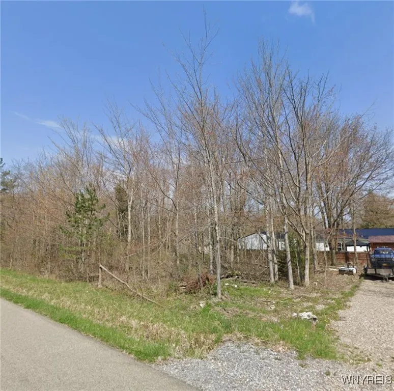 Madison Avenue, Evans, New York 14006, Evans, New York 14006, ,Land,For Sale,Madison Avenue, Evans, New York 14006,0,B1653560