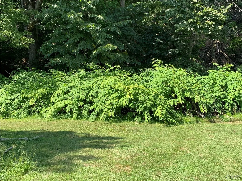 9141 Main Street, Annsville, New York 13471, Annsville, New York 13471, 6 Bedroom Bedrooms, 10 Room Rooms,2 BathroomBathrooms,Residential,For Sale,9141 Main Street, Annsville, New York 13471,0,S1654336