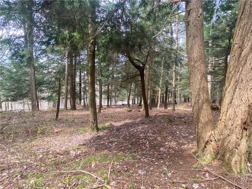 Lot A Piermott Lane, Hartwick, New York 13348, Hartwick, New York 13348, ,Land,For Sale,Lot A Piermott Lane, Hartwick, New York 13348,0,R1648848