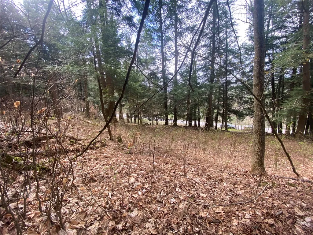 Lot A Piermott Lane, Hartwick, New York 13348, Hartwick, New York 13348, ,Land,For Sale,Lot A Piermott Lane, Hartwick, New York 13348,0,R1648848