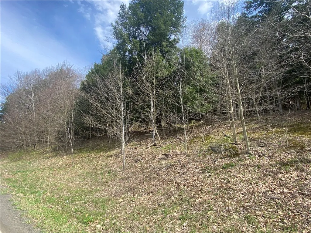 Lot A Piermott Lane, Hartwick, New York 13348, Hartwick, New York 13348, ,Land,For Sale,Lot A Piermott Lane, Hartwick, New York 13348,0,R1648848