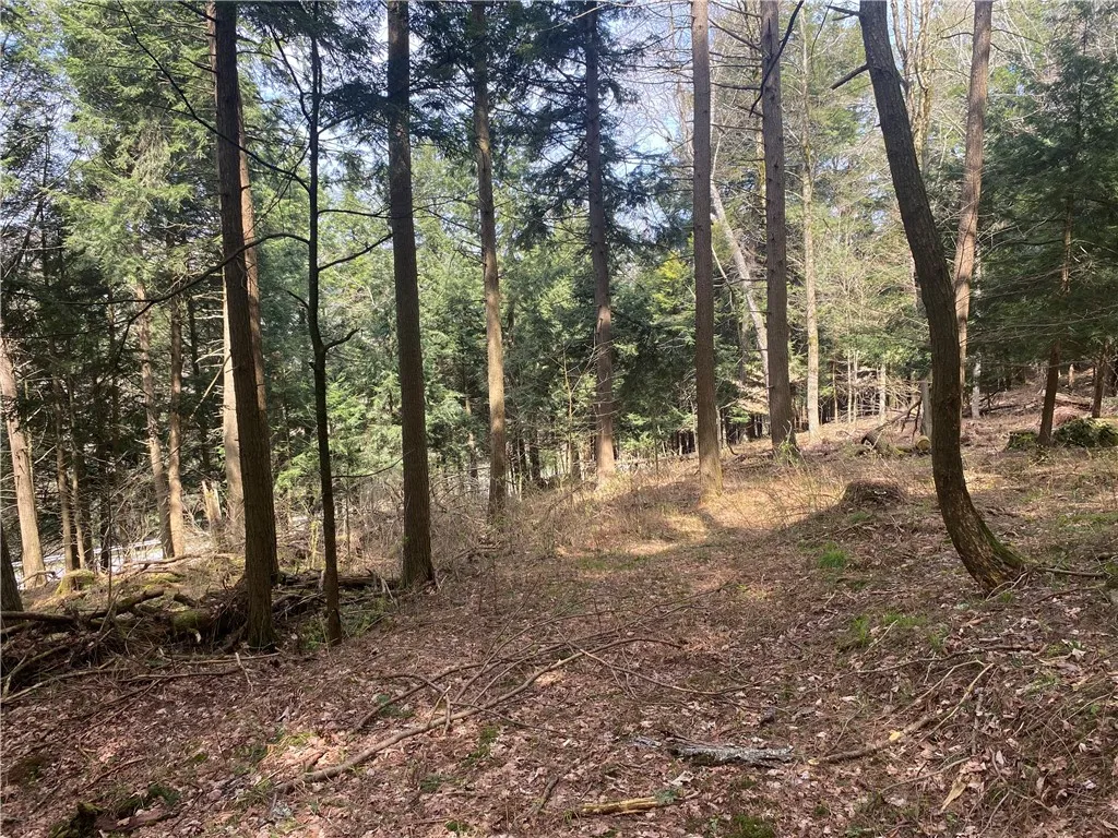 Lot A Piermott Lane, Hartwick, New York 13348, Hartwick, New York 13348, ,Land,For Sale,Lot A Piermott Lane, Hartwick, New York 13348,0,R1648848