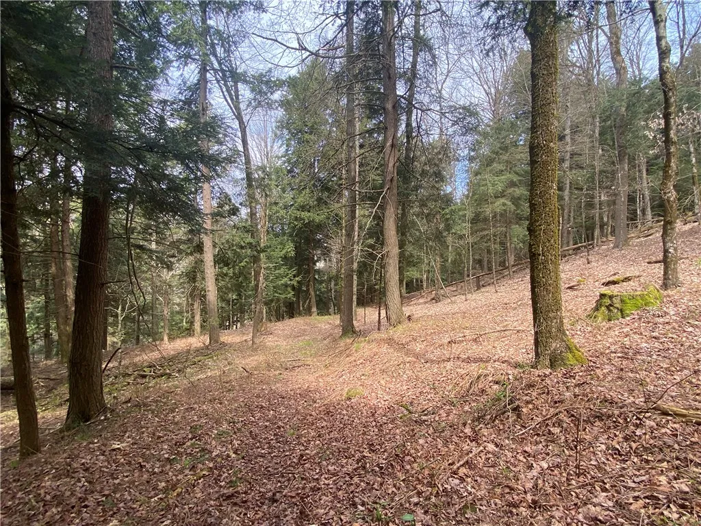 Lot A Piermott Lane, Hartwick, New York 13348, Hartwick, New York 13348, ,Land,For Sale,Lot A Piermott Lane, Hartwick, New York 13348,0,R1648848