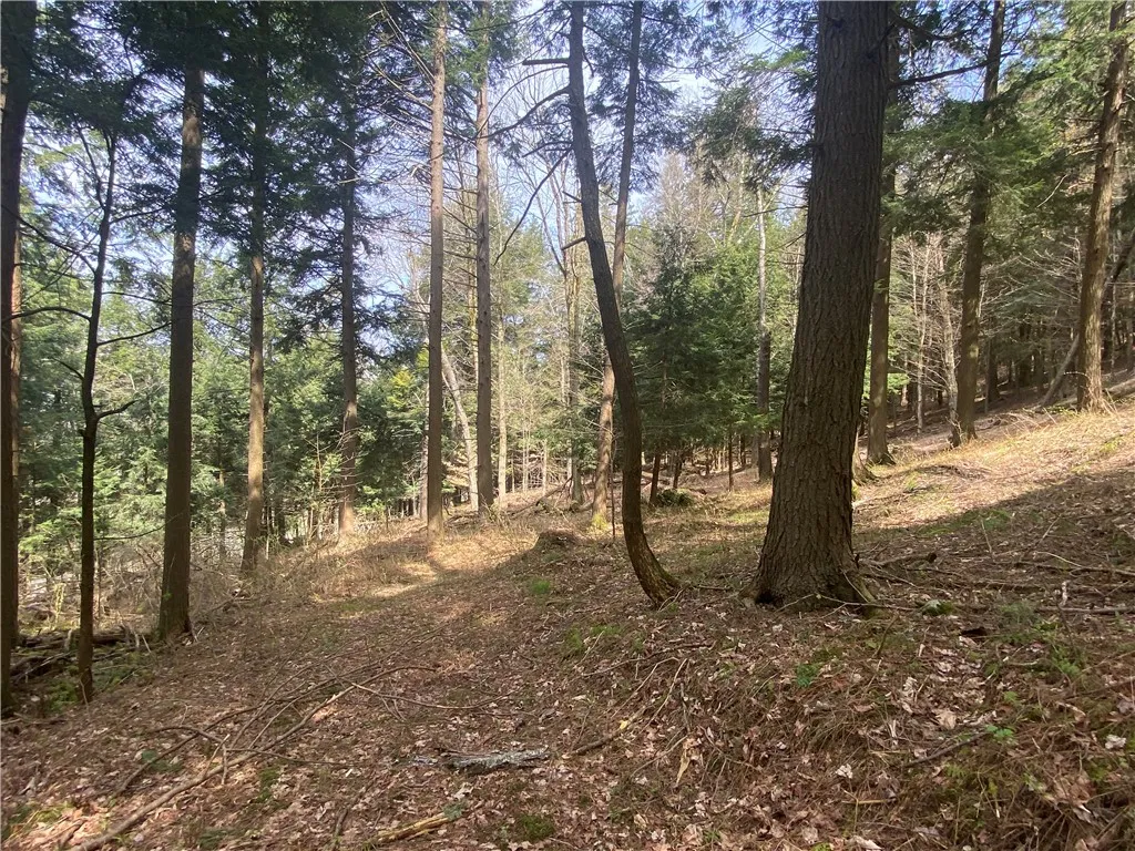 Lot A Piermott Lane, Hartwick, New York 13348, Hartwick, New York 13348, ,Land,For Sale,Lot A Piermott Lane, Hartwick, New York 13348,0,R1648848