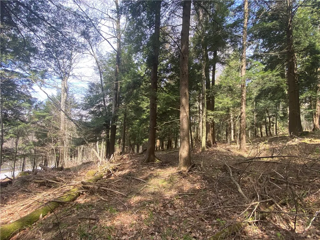 Lot A Piermott Lane, Hartwick, New York 13348, Hartwick, New York 13348, ,Land,For Sale,Lot A Piermott Lane, Hartwick, New York 13348,0,R1648848