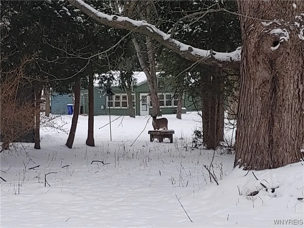 4750 Schurr Road, Clarence, New York 14031, Clarence, New York 14031, 3 Bedrooms Bedrooms, 7 Rooms Rooms,1 BathroomBathrooms,Residential,Closed,4750 Schurr Road, Clarence, New York 14031,0,B1654776