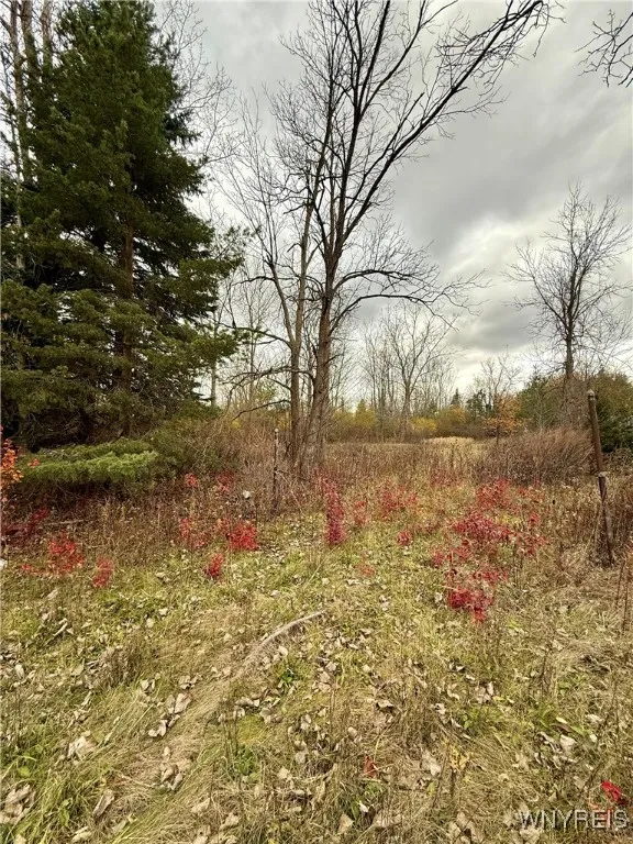4300 North French Road, Amherst, New York 14051, Amherst, New York 14051, ,Land,For Sale,4300 North French Road, Amherst, New York 14051,0,B1652170