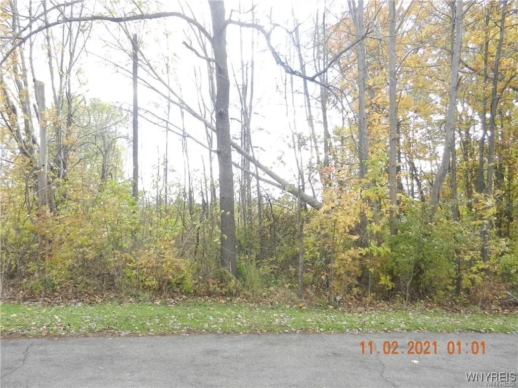 68 Grove Street, Evans, New York 14006, Evans, New York 14006, ,Land,For Sale,68 Grove Street, Evans, New York 14006,0,B1655034